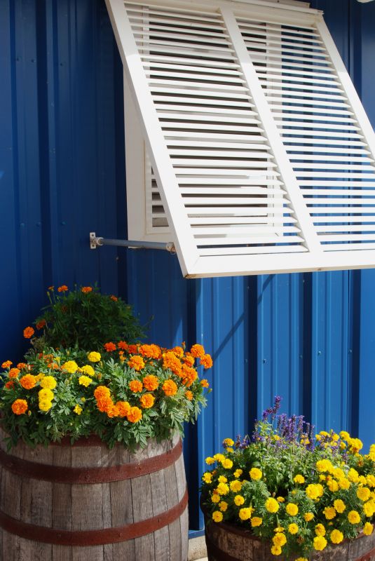 Window Shutters Replacement in Denver County, CO