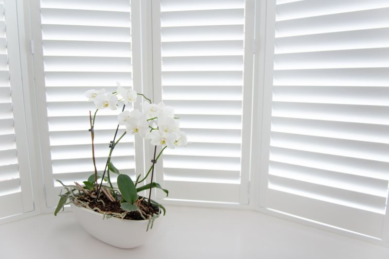Wood Shutters Installation in Kansas City, KS